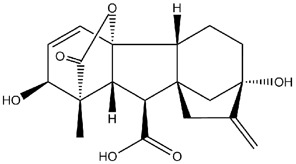 赤霉素GIBBERELLIC ACID，居然有這么神奇？